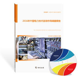 2016年中國電力技術咨詢市場調(diào)查報告